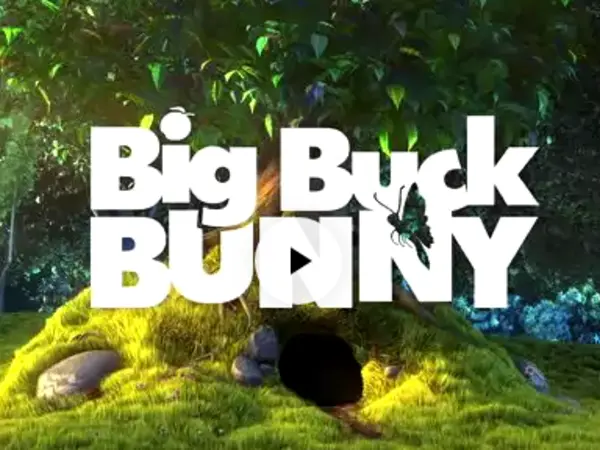 1e image avec lightbox